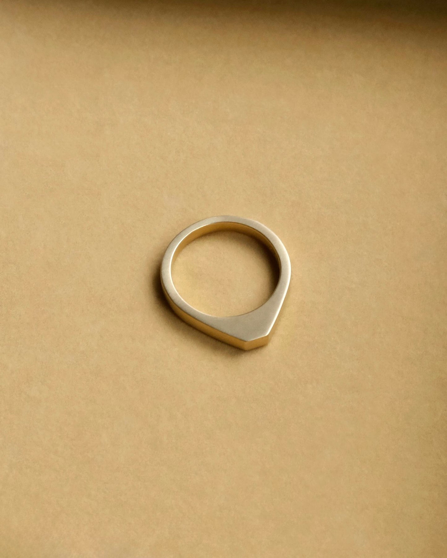 Tiana Marie Combes Palermo Signet in 14k Yellow Gold.