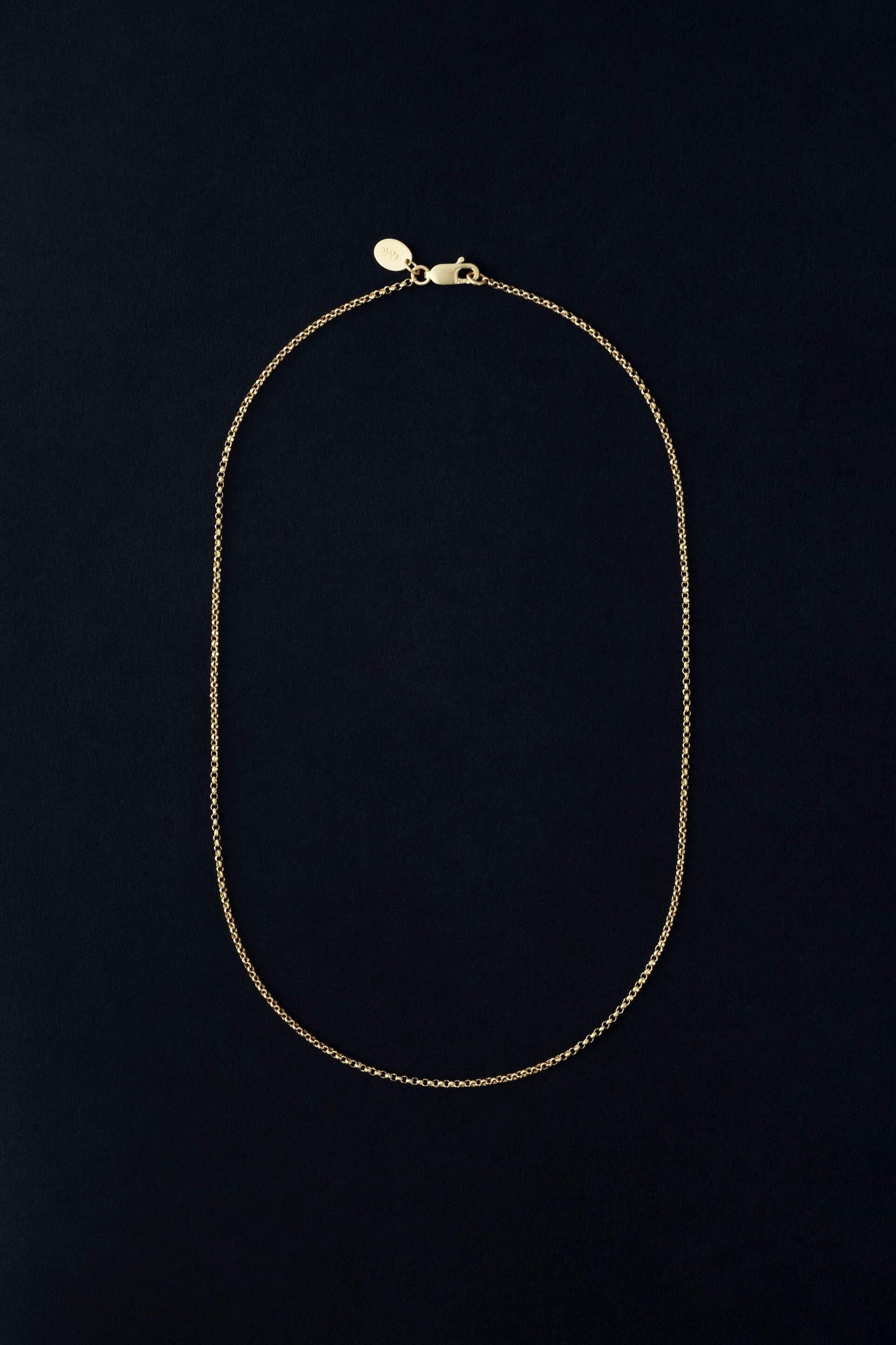Tiana Marie Combes Olympic Chain in 14k Yellow Gold.