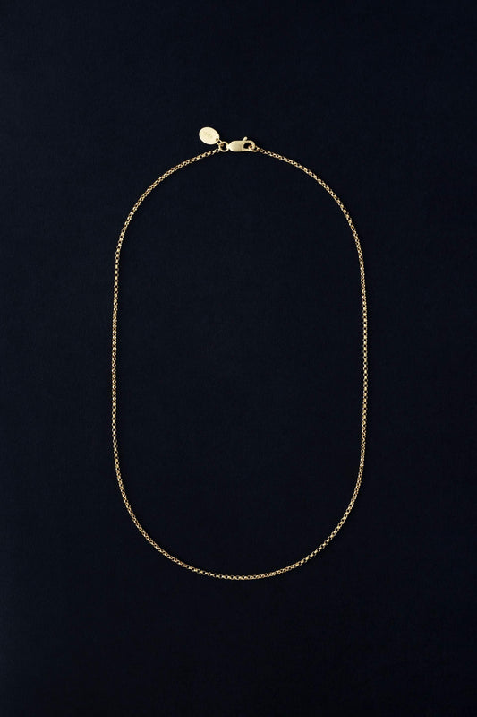 Tiana Marie Combes Olympic Chain in 14k Yellow Gold.