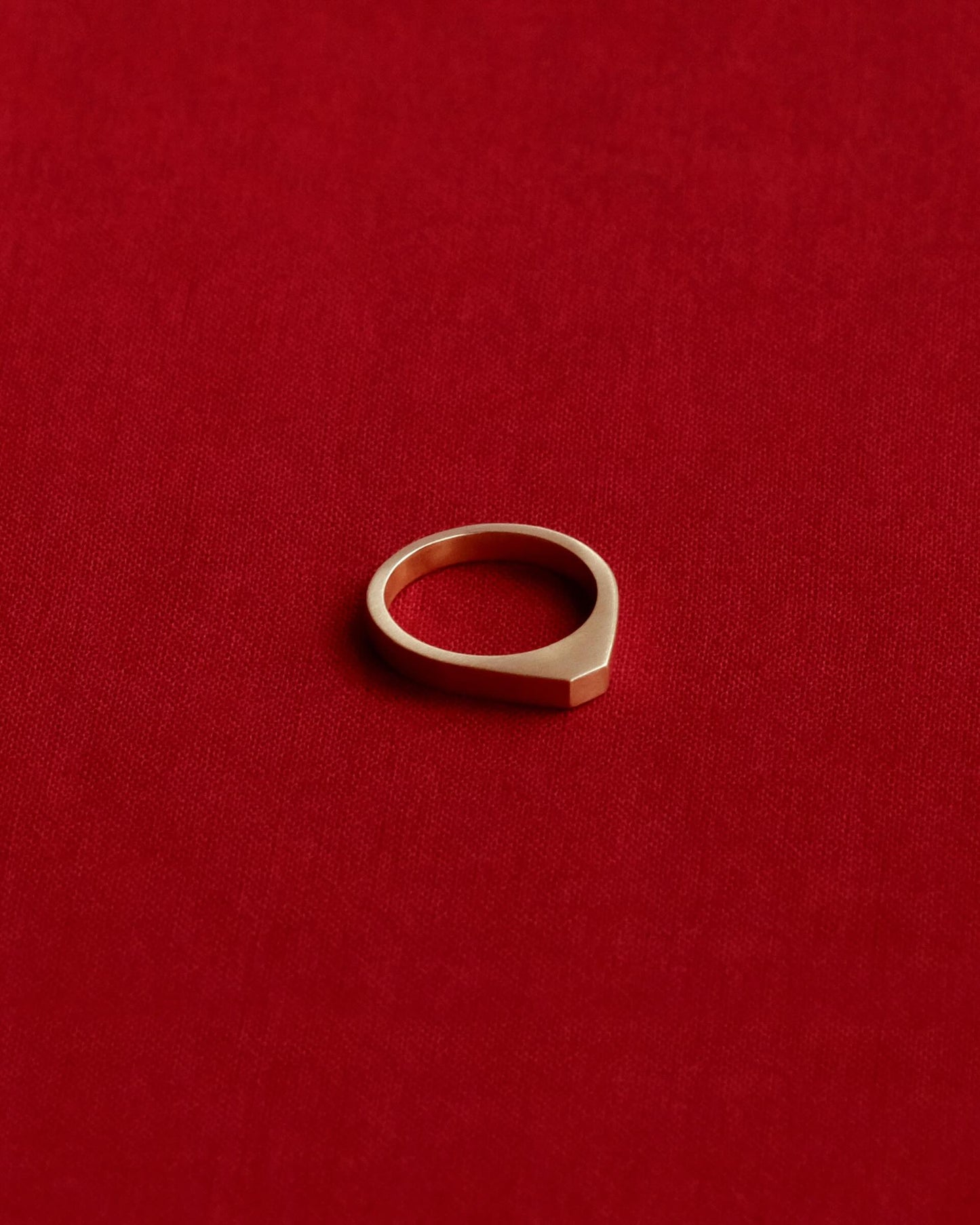Tiana Marie Combes Palermo Signet in 14k Yellow Gold.