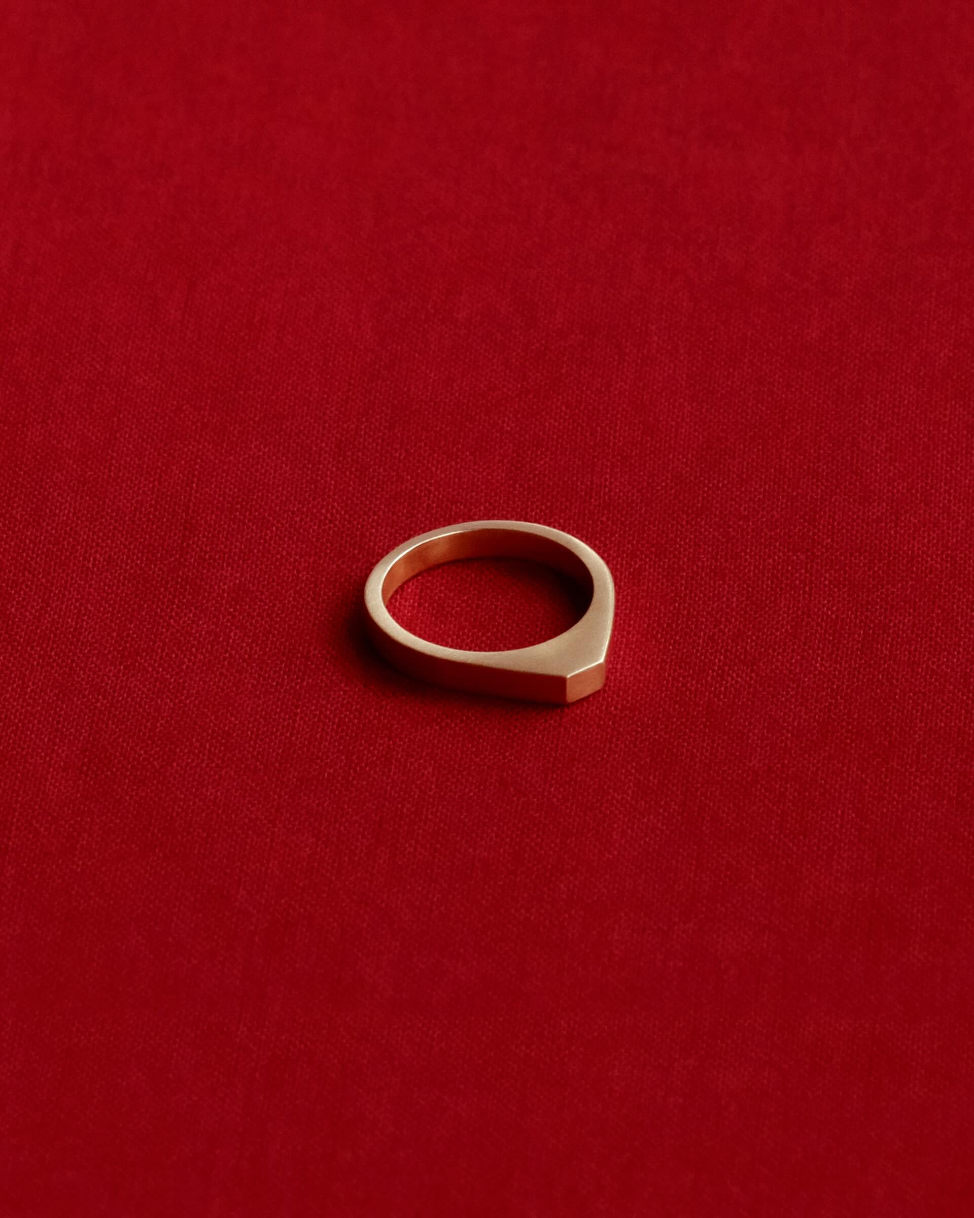 Tiana Marie Combes Palermo Signet in 14k Yellow Gold.